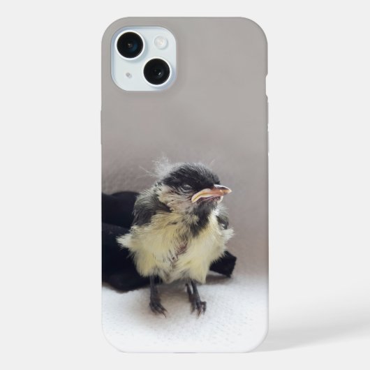 Tidi my Bird le Parus Major (Verso)