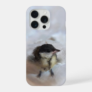 Tidi my Bird le Parus Major