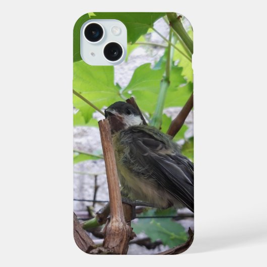 Tidi my Bird le Parus Major (Verso)
