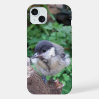 Tidi my Bird le Parus Major