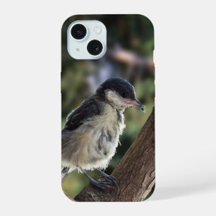 Tidi my Bird le Parus Major