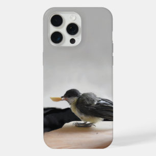 Tidi my Bird le Parus Major