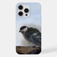 Tidi my Bird le Parus Major