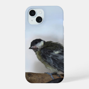 Tidi my Bird le Parus Major