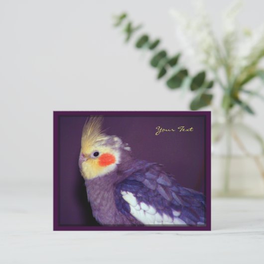 Tiel Briefkaarten (Staand voorkant)