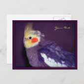 Tiel Briefkaarten (Voorkant / Achterkant)