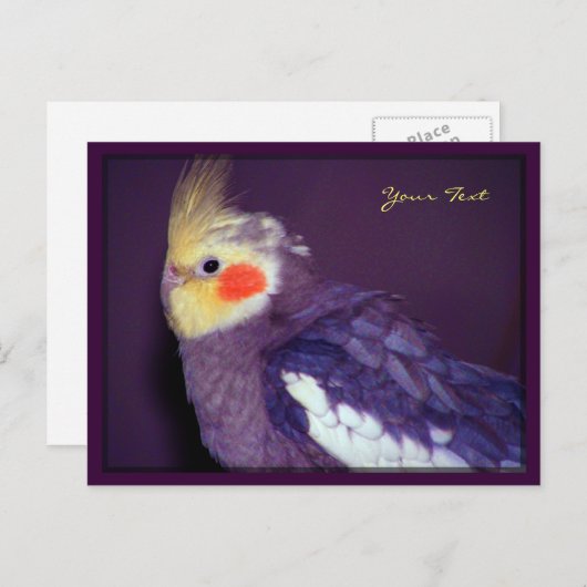 Tiel Briefkaarten (Voorkant / Achterkant)