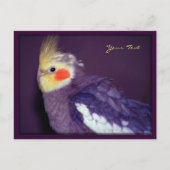 Tiel Briefkaarten (Voorkant)