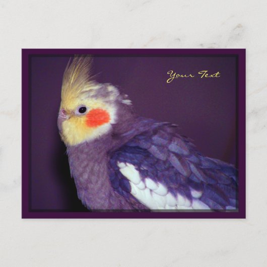 Tiel Briefkaarten (Voorkant)