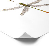Tien Dragonfly-soorten Poster (Hoek)