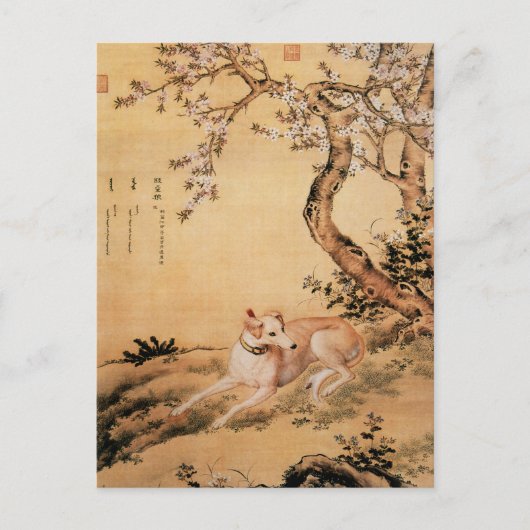 Tien gewaardeerde honden - Shanxing Wolf (Chinese Briefkaart (Voorkant)
