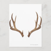 Tien puntsdieper briefkaart (Voorkant)