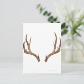 Tien puntsdieper briefkaart (Staand voorkant)