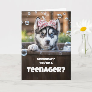 Tiener Tiener Gelukkige Verjaardag Schattige Husky Kaart