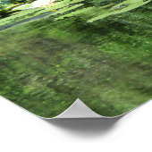 Tiergarten Water Lillies Poster (Hoek)