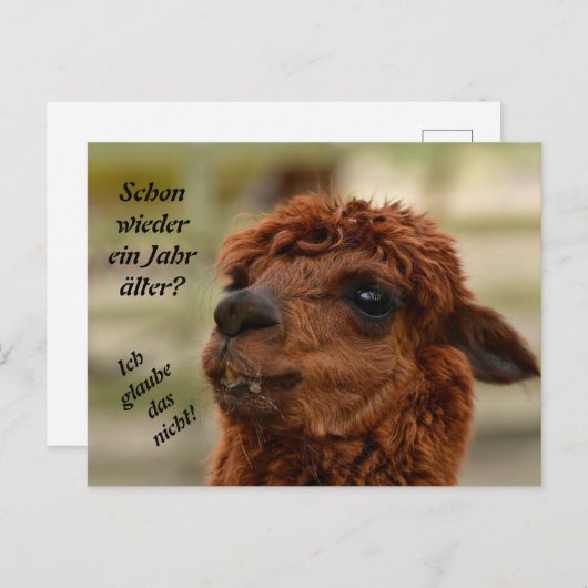 Tierische Grüẞe Alpaka braun Spuckt    Uitnodiging Briefkaart (Voorkant / Achterkant)