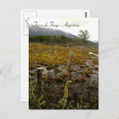 Tierra del Fuego - Argentinië Briefkaart (Voorkant / Achterkant)