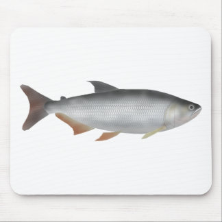 Tiete tetra muismat