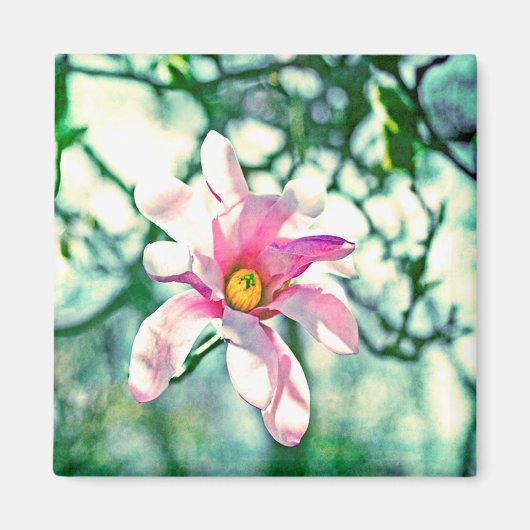 Tiffany Magnolia Magneet (Voorkant)