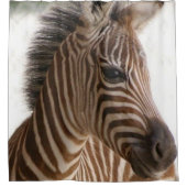 Tige rideau de douche Zebra (Devant)