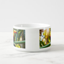 Tigela de Sopa Tucano