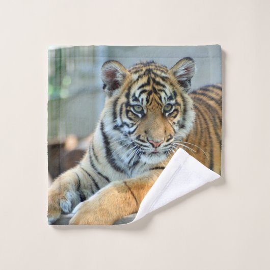 Tiger 034 (Gant de toilette)