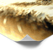 Tiger 1 - Poster (Coin)