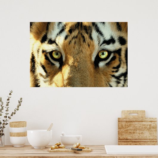 Tiger 1 - Poster (Cuisine)