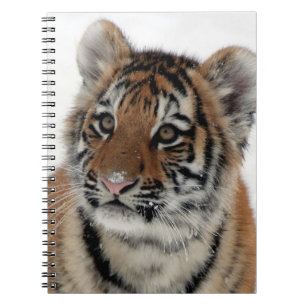 Tiger_2015_0114 Notitieboek