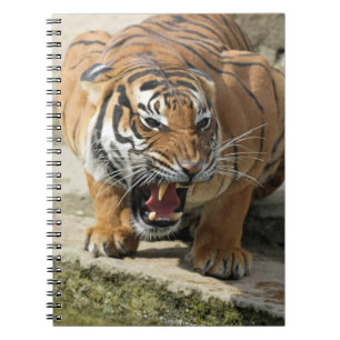 Tiger_2015_0156 Notitieboek
