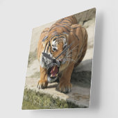 Tiger_2015_0156 Vierkante Klok (Hoek)