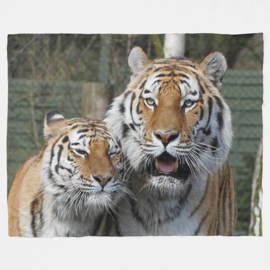 Tiger_2015_0401 Fleece Deken (Voorkant (Horizontaal))