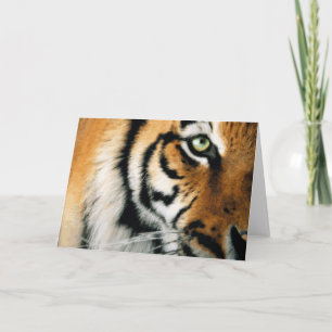 Tiger 2 - Carte de voeux