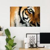 Tiger 2 - Poster (Bureau à domicile)