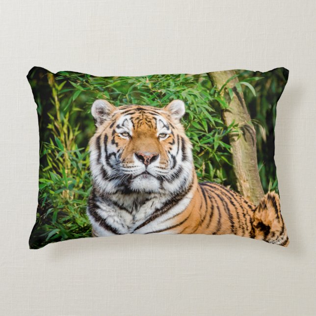 Tiger Accent Pillow Accent Kussen (Voorkant)