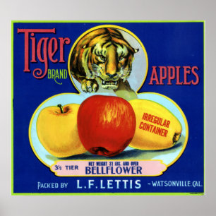 Tiger Apples Watsonville California Poster