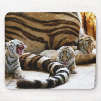 Tiger Babies Mousepad Muismat