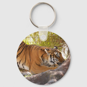 Tiger Bengali 001 Sleutelhanger