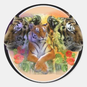 Tiger bij Henry Doorly Zoo Ronde Sticker