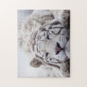 TIGER BLANC JIGSAW PUZZLE (Vertical)