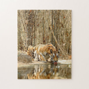 TIGER BOIRE D'EAU JIGSAW PUZZLE