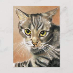 Tiger Cat Kitten Animal Briefkaart