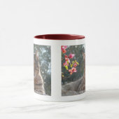 Tiger Cat Pandelie Mok (Midden)