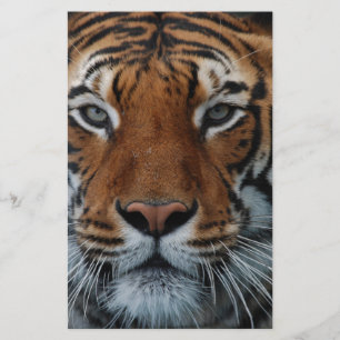 Tiger Cat Stripes Oerwoud Mist Animal Briefpapier