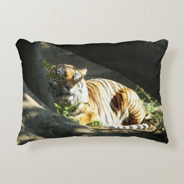 Tiger Catnap Accent Kussen (Voorkant)