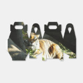 Tiger Catnap Bedankdoosjes (Uitgevouwen)