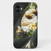 Tiger Catnap Case-Mate iPhone Case (Achterkant)