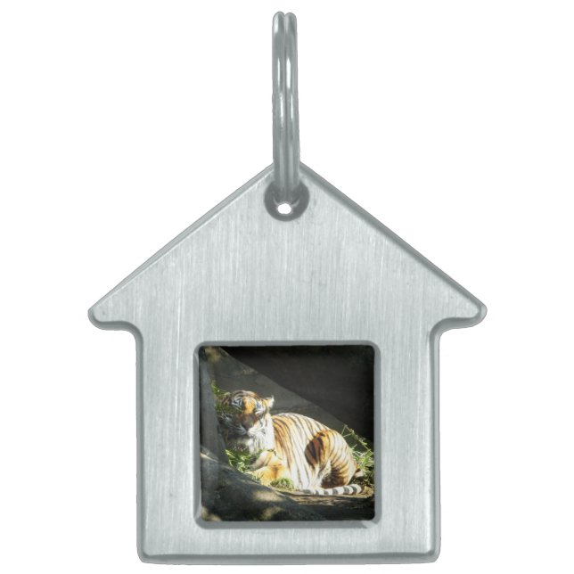 Tiger Catnap Huisdieren Naamplaatje (Voorkant)