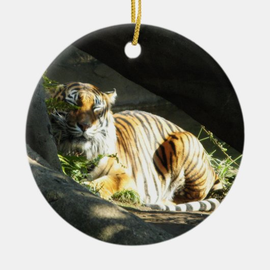Tiger Catnap Keramisch Ornament (Voorkant)