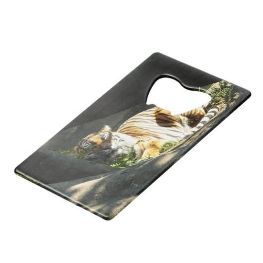 Tiger Catnap Kredietkaart Flessenopener (Voorkant Gekanteld)